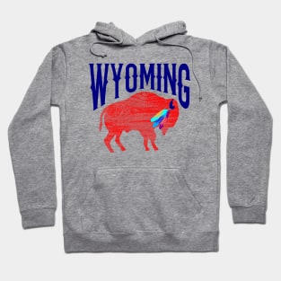 Wyoming Buffalo Eagle Feathers Hoodie